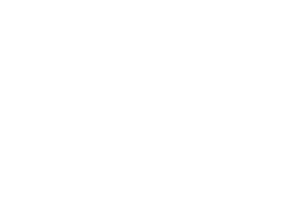 dreamwork-white
