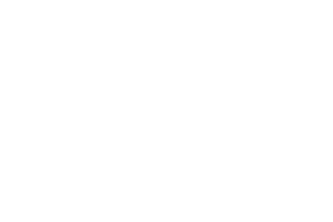 fa-white
