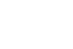 history-white